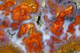 Wingate Pass Plume Agate Slab - California #378069-1